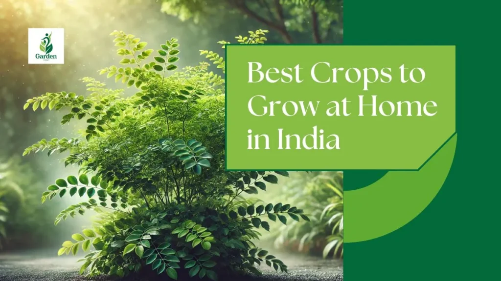 Sustainable Agriculture Practices