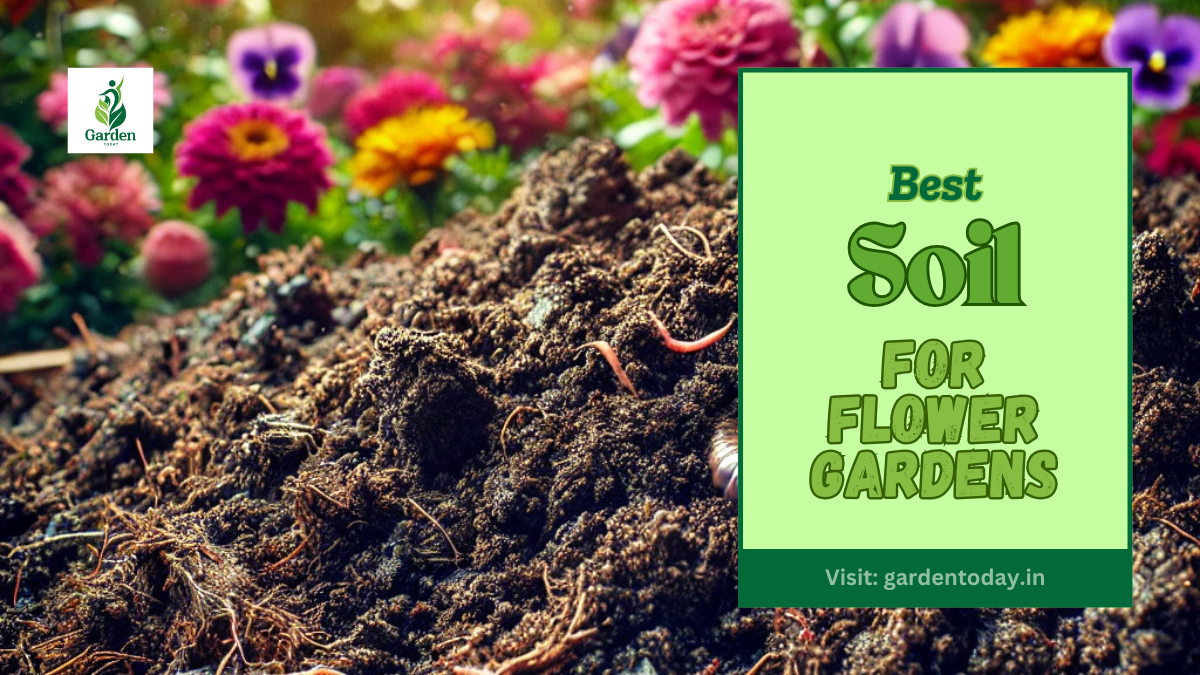 Best Soil for Flower Gardens