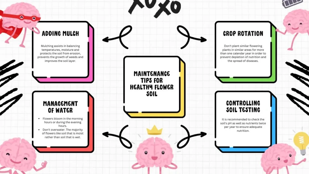 Maintenance Tips for Healthy Flower Soil