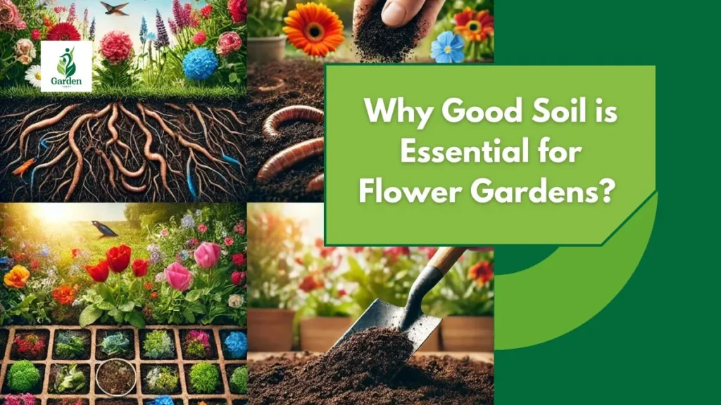 Why Good Soil is Essential for Flower Gardens?
