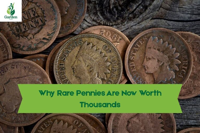 Why Rare Pennies Are Now Worth Thousands