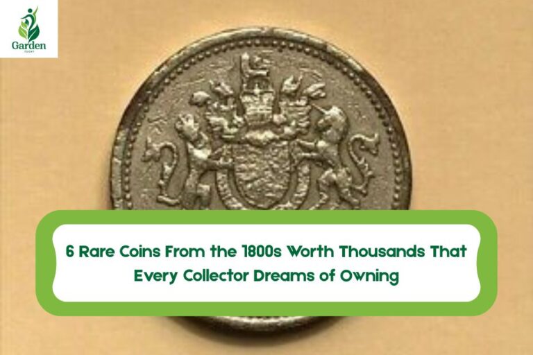 6 Rare Coins