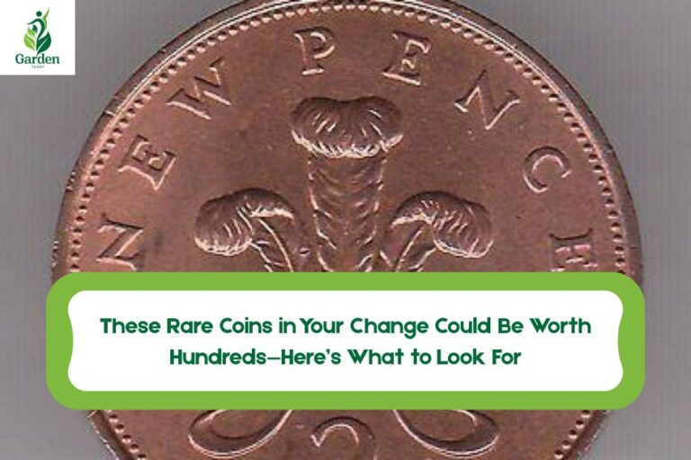 Rare Coins