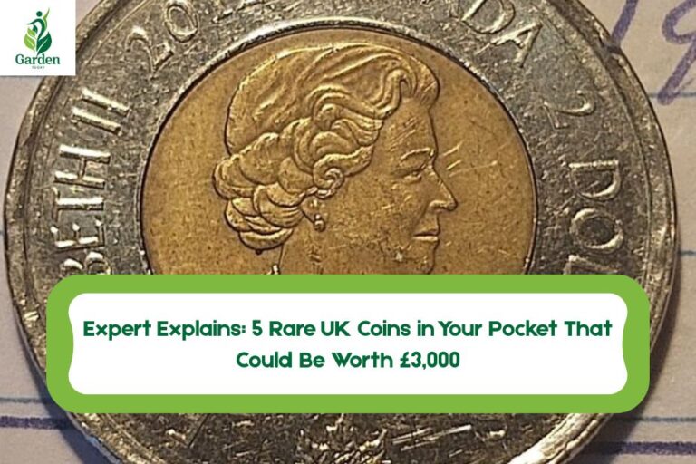 Rare UK Coins