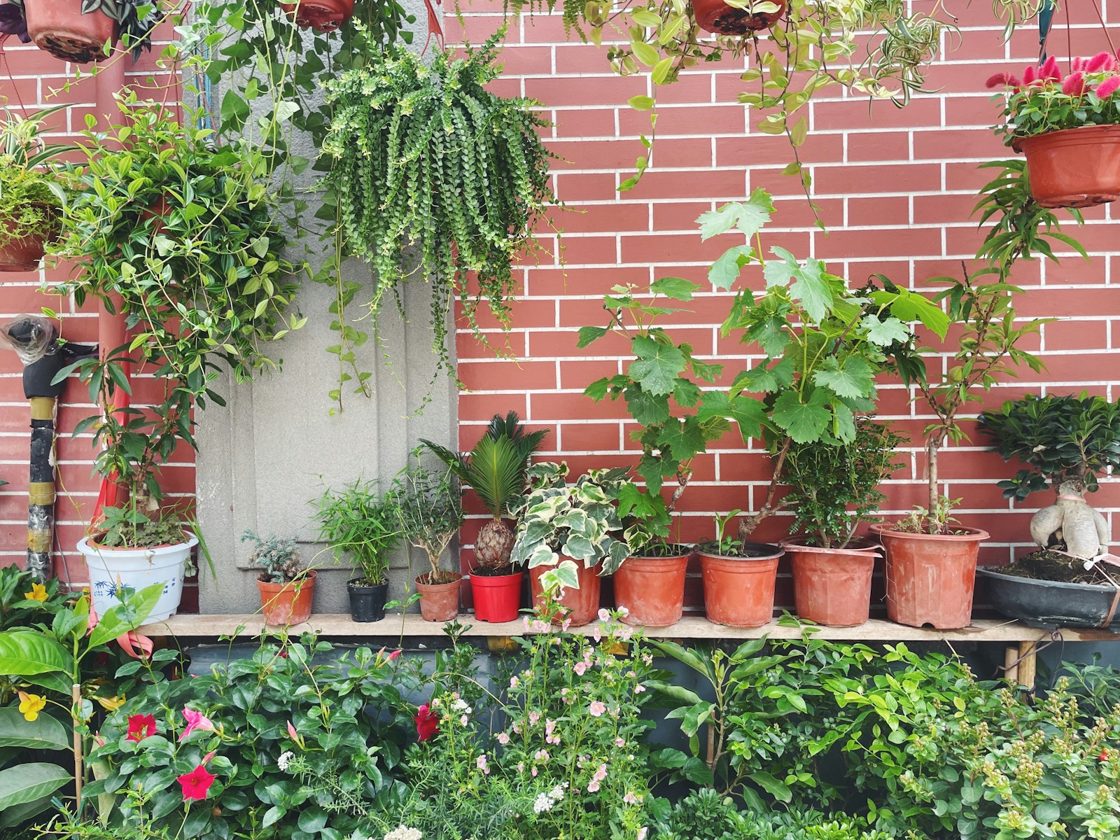 Garden-Saving Tips for Protecting Your Plants During a Heat Wave