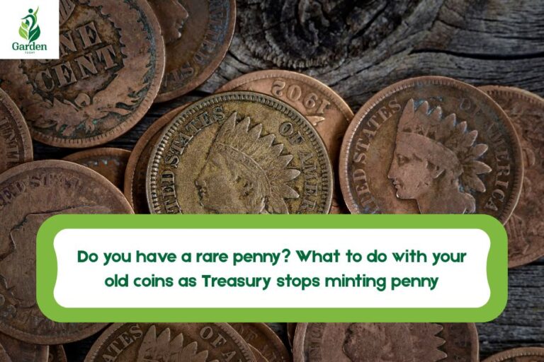 rare penny
